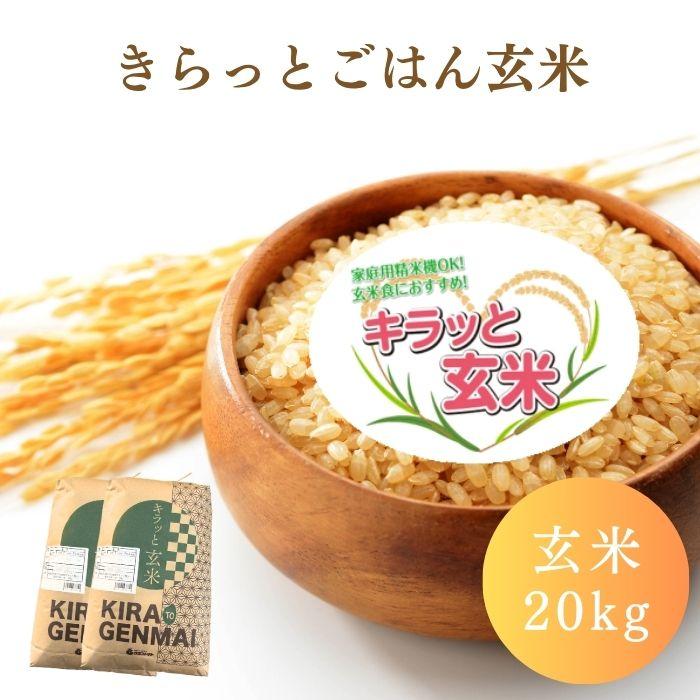 玄米20kg入　送料込 玄米 20kg 送料無料 玄米20kg 送料無料」の人気商品一覧・価格比較