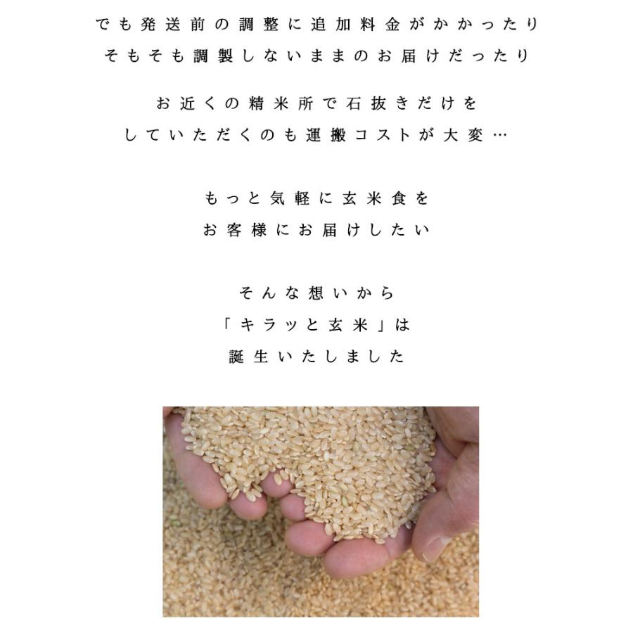 コシヒカリ 令和7年産 福島県会津産コシヒカリ 玄米 送料無料 30kg