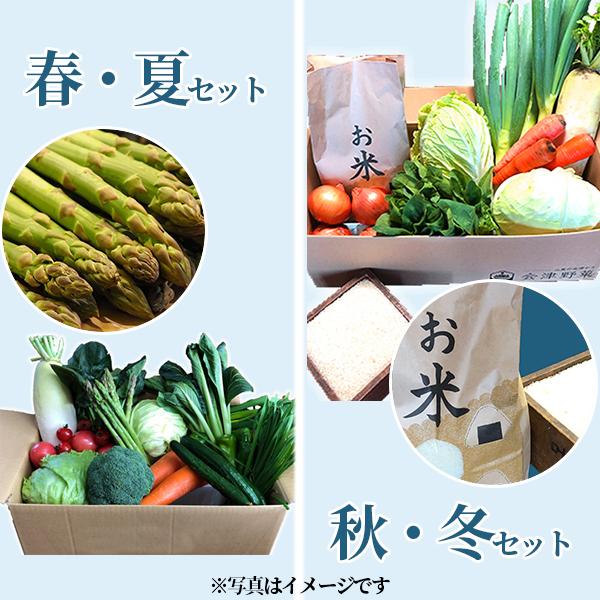 喜多方アスパラ野菜セット（大）2回（10〜12品目）4名様1週間分相当