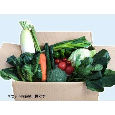 喜多方アスパラ野菜セット（小）2回（8〜10品目）2名様1週間分相当｜aizu-yasai｜02