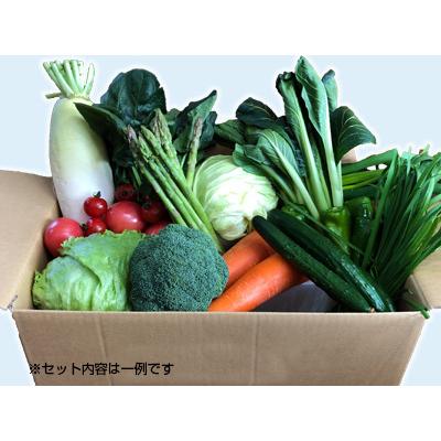 西会津ミネラル野菜セット（大）3回（10〜12品目）4名様1週間分相当｜aizu-yasai｜02