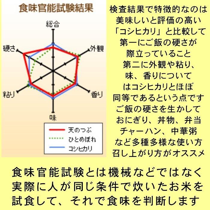 米 お米 5kg×2袋 白米 ５年産新米  会津米 天のつぶ 一等米使用  関東・甲信越地方までの本州地域送料無料 ふくしまプライド。体感キャンペーン（お米）10kg｜aizukome｜07