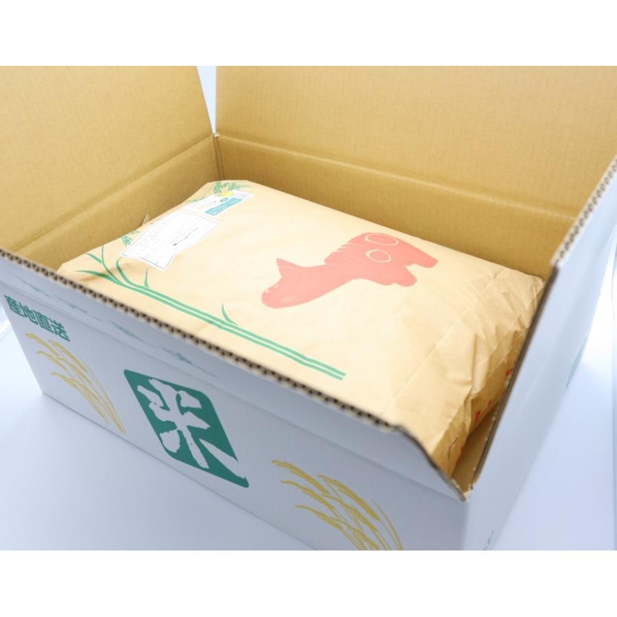 新米 令和7年産 24kg 玄米 コシヒカリ 会津産 一等米 石抜色選 （産地直送・送料無料地域あり） | コシヒカリ | 02