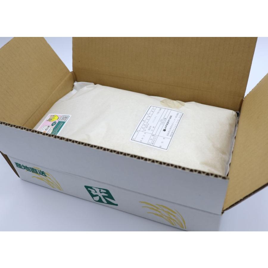 新米 令和7年産 5kg白米 コシヒカリ 会津産 一等米（産地直送・送料無料地域あり） | コシヒカリ | 01