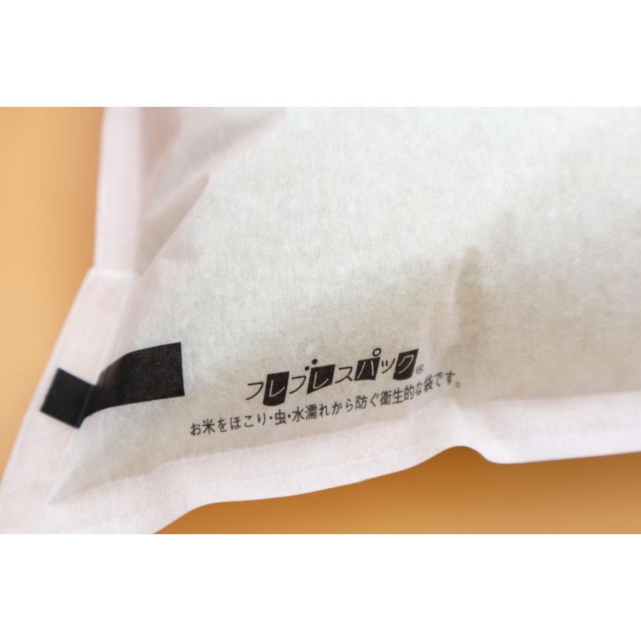 新米 令和7年産 5kg白米 コシヒカリ 会津産 一等米（産地直送・送料無料地域あり） | コシヒカリ | 03