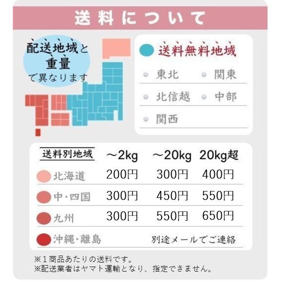 新米 令和7年産 5kg白米 コシヒカリ 会津産 一等米（産地直送・送料無料地域あり） | コシヒカリ | 05