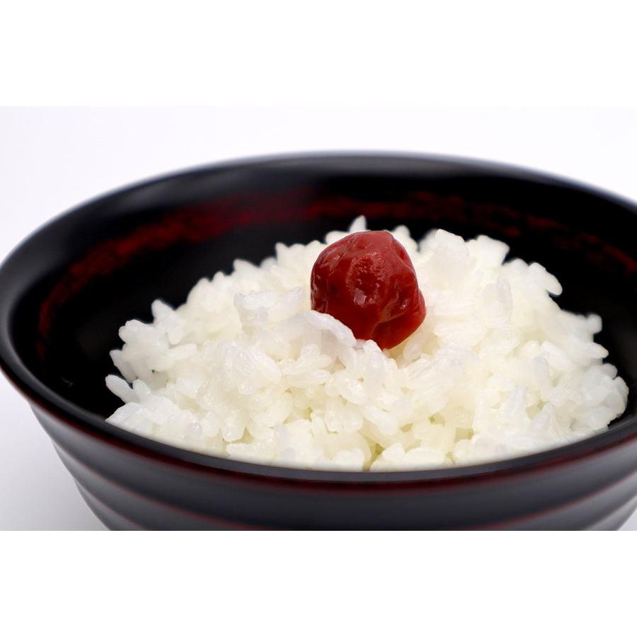 新米 令和7年産 5kg白米 コシヒカリ 会津産 一等米（産地直送・送料無料地域あり） | コシヒカリ | 06