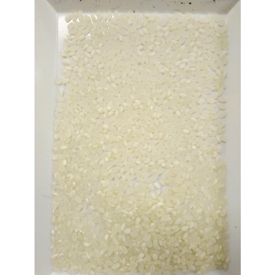 令和6年度産　白米　ブレンド米　10キロ 数量限定！】生活応援米 令和6年産 10kg 白米 ブレンド米 会津産 訳