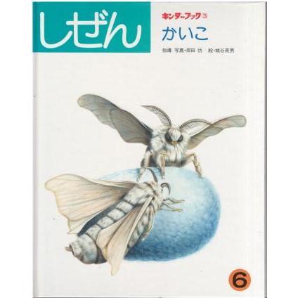 古本）キンダーブック しぜん かいこ 岸田功 フレーベル館 J00013