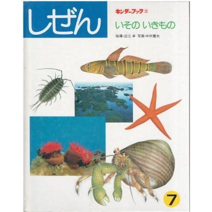 古本）キンダーブック しぜん いそのいきもの 近江卓 フレーベル館