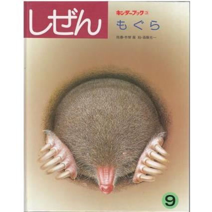 古本）キンダーブック しぜん もぐら 手塚甫 フレーベル館 J00016
