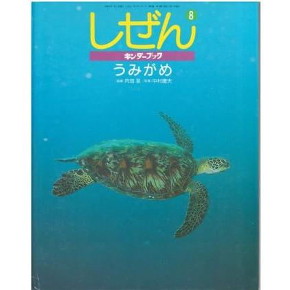 古本）キンダーブック しぜん うみがめ 内田至 フレーベル館 J00037