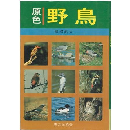 古本）原色・野鳥 柳澤紀夫 家の光協会 YA5359 19770825発行 : 古書 会