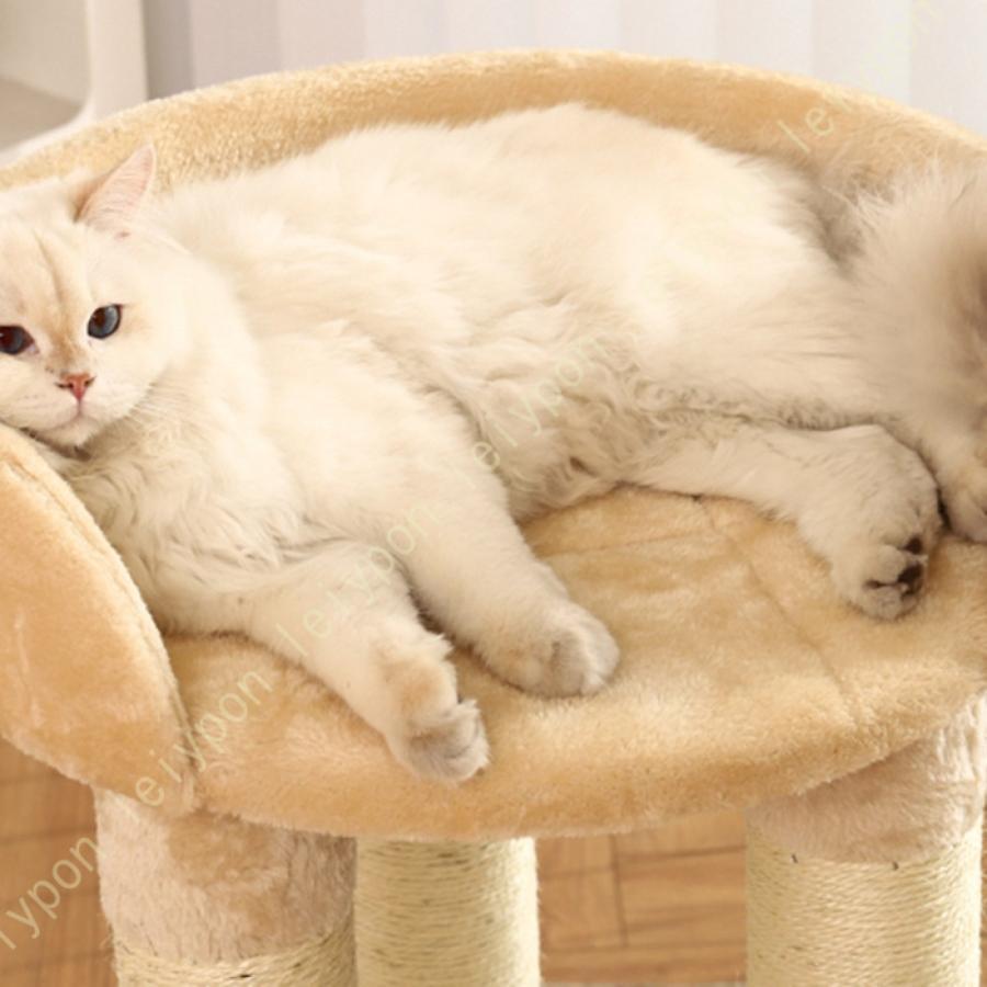 組立簡単 据え置き 子猫 小型 スリム 猫 短足猫 猫タワー かわいい 安定 爪とぎ キャットタワー おしゃれ シニア猫 猫ベッド 低い コンパクト シンプル 低め_10