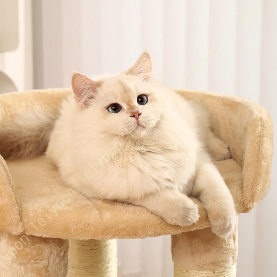 組立簡単 据え置き 子猫 小型 スリム 猫 短足猫 猫タワー かわいい 安定 爪とぎ キャットタワー おしゃれ シニア猫 猫ベッド 低い コンパクト シンプル 低め_9