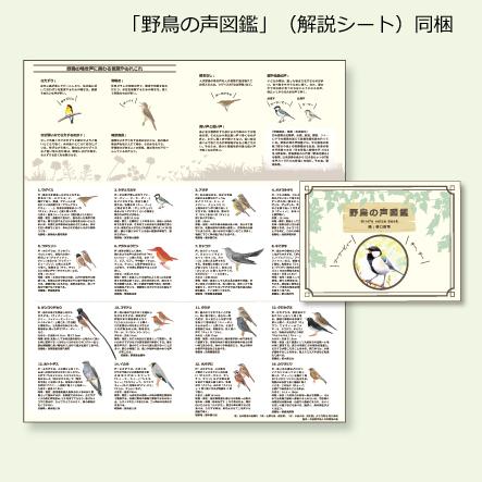 7月末より再入荷　野鳥の声で朝をお知らせ　リズム時計　クオーツ　目覚まし時計/日本野鳥の会　めざまし時計 401/8RM401SR03｜ajewelry｜08