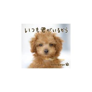 α波オルゴール　CD/いつも君がいるから 22/3/25発売【オリコン加盟店】（Yahoo!・アットマークジュエリー）