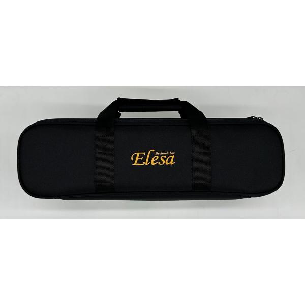 TAHORNG タホーン/電子サックス Elesa10 エルサ/ポータブル ウインド