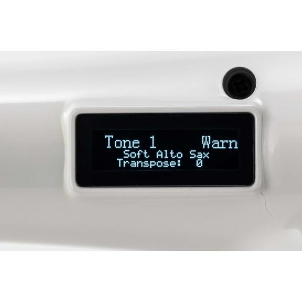 TAHORNG タホーン/電子サックス Elesa10 エルサ/ポータブル ウインド