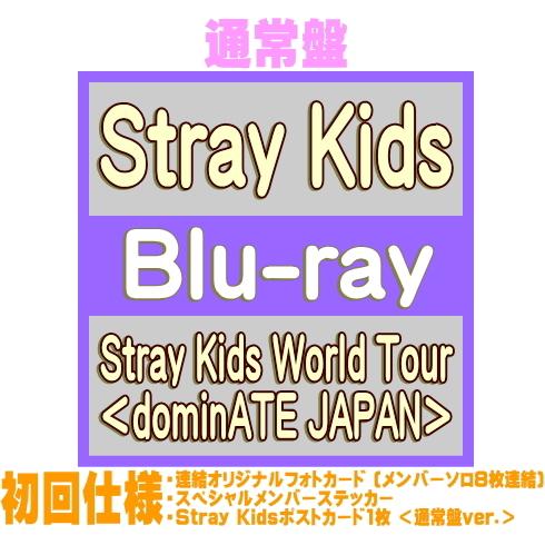 先着特典終了 通常盤(初回仕様) 連結フォトカード他 Stray Kids Blu