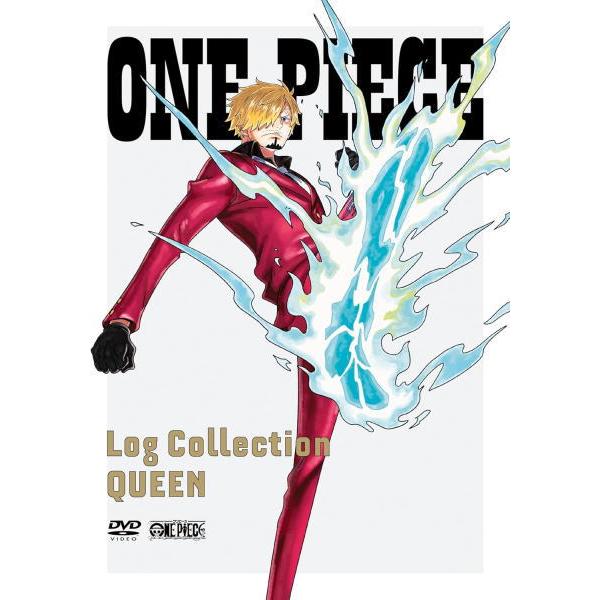 初回仕様 マルチケース封入 特製スリーブ仕様 ONE PIECE 4DVD/ONE 