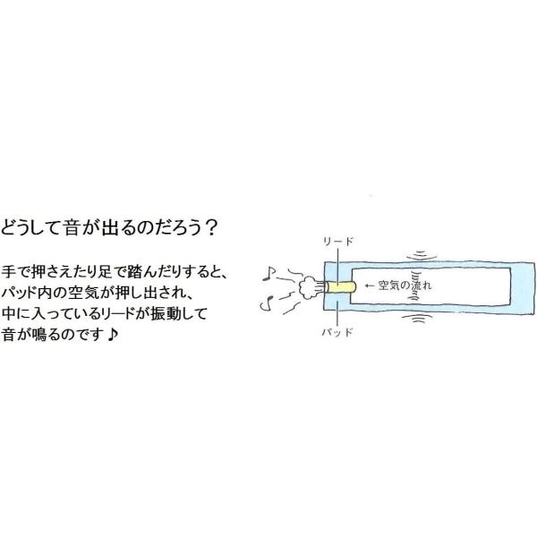 SUZUKI スズキ/ミュージック パッド ハ長調の和音 6種類セット/パッド リトミック 音あそび 音楽教育 音楽療法 楽器 音楽 演奏 子供 キッズ MP-6C/NMG_2