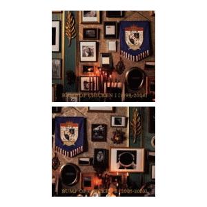 BUMP OF CHICKEN CD/BUMP I + II セット 13/7/3発売 オリコン加盟店