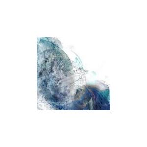 楽天市場 廻人盤 初回限定 Box仕様 取 Goods付 オンラインイベント参加シリアル Eve Cd Goods 廻人 22 3 16発売 オリコン加盟店 人気満点 Www Aqtsolutions Com