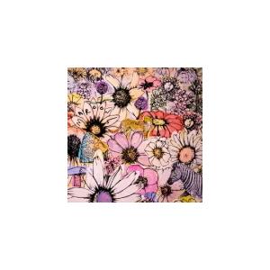 通常盤 マルーン5　2CD/ジョーディ  21/6/11発売 オリコン加盟店｜ajewelry