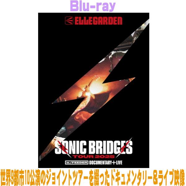 FEEDER x ELLEGARDEN - B2ポスター FEEDER x ELLEGARDEN - B2ポスター CD購入者特典ポスター(希望者