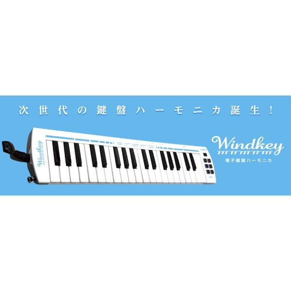 TAHORNG タホーン/電子鍵盤ハーモニカ WINDKEY ウィンキー/USB給電