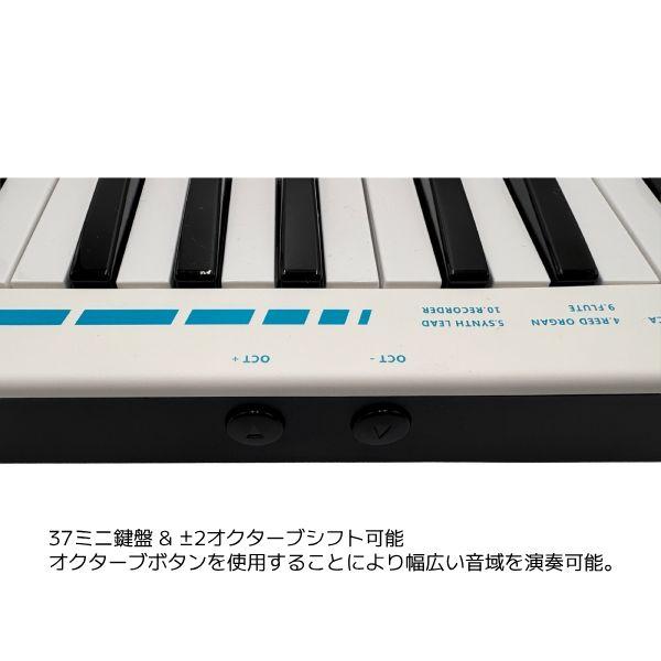 TAHORNG タホーン/電子鍵盤ハーモニカ WINDKEY ウィンキー/USB給電