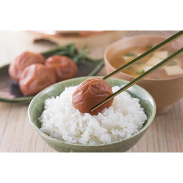 令和7年産】山形県産 つや姫 10kg（5kg×2）（62-C） : 味の農園 - 通販