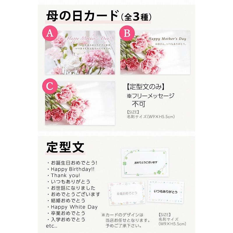 贈答品 ソープフラワー ギフト 花 花束 ブーケ アレンジメント クマ くま Led プレゼント 母の日 誕生日 発表会 枯れない花 母 祖母 両親 送料無料 Aynaelda Com