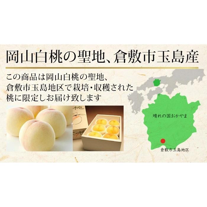 早期ご予約受付中 岡山白桃　進物 3kg 　岡山県産　白桃物語　収穫地を桃の聖地岡山玉島地区に限定しお届け　お中元最適品_3