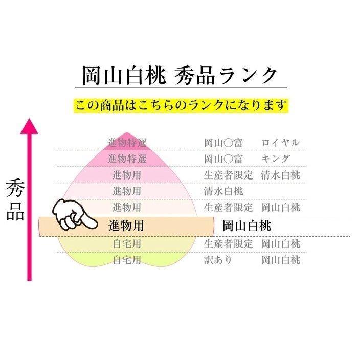 早期ご予約受付中 岡山白桃　進物 3kg 　岡山県産　白桃物語　収穫地を桃の聖地岡山玉島地区に限定しお届け　お中元最適品_5