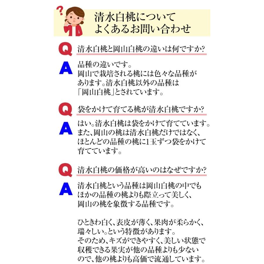早期ご予約受付中 岡山白桃　進物 3kg 　岡山県産　白桃物語　収穫地を桃の聖地岡山玉島地区に限定しお届け　お中元最適品_4