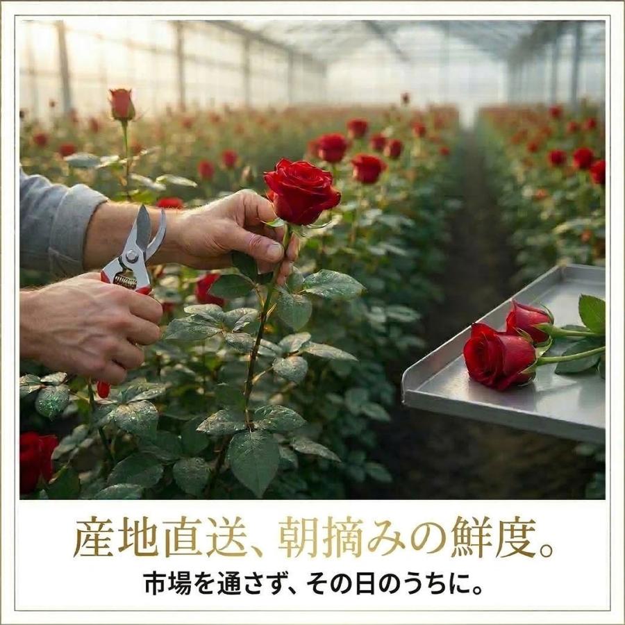 母の日2026予約 最高級バラ花束24本 赤 生花 記念日 誕生日 薔薇 生産