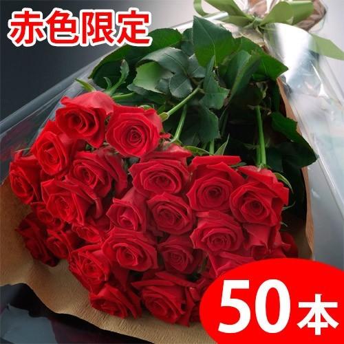 農家直送 赤いバラの花束ギフト50本｜ajien
