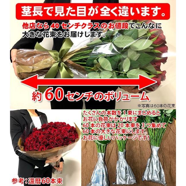 楽天 農家直送 赤いバラの花束ギフト50本 柔らかい Www Muslimaidusa Org