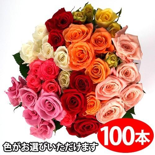 農家直送 【保存版】 買物 色が選べるバラの花束ギフト100本