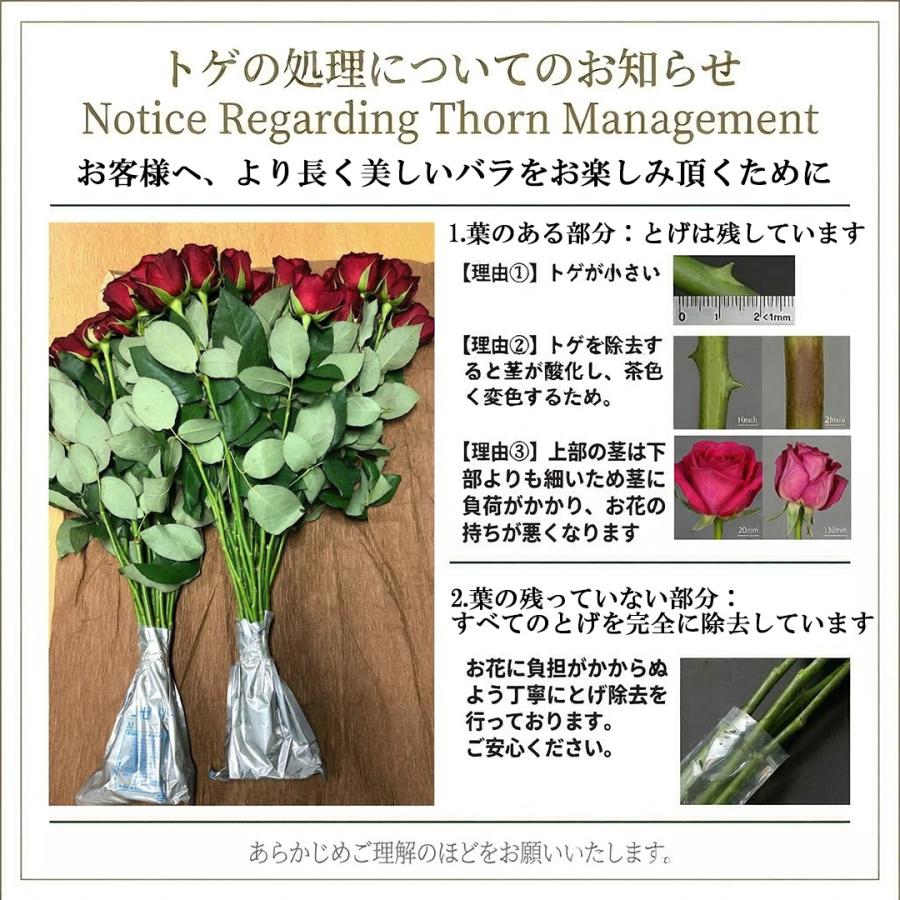 母の日2026予約 最高級バラ花束108本 色選べる ピンク 白 生花