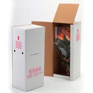 【年末年始お届け】還暦祝いに赤いバラの花束ギフト60本 【年末年始お届け】還暦祝いに赤いバラの花束ギフト60本 【年末年始お届け】還暦祝いに赤いバラの花束ギフト60本 ZYX1530747653(13500円)