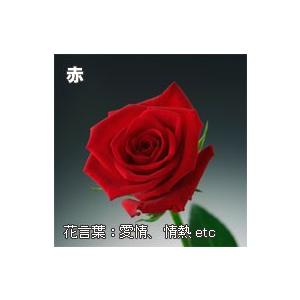 【年末年始お届け】還暦祝いに赤いバラの花束ギフト60本 【年末年始お届け】還暦祝いに赤いバラの花束ギフト60本 【年末年始お届け】還暦祝いに赤いバラの花束ギフト60本 ZYX1530747653(13500円)