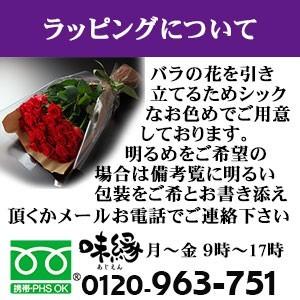 【年末年始お届け】還暦祝いに赤いバラの花束ギフト60本 【年末年始お届け】還暦祝いに赤いバラの花束ギフト60本 【年末年始お届け】還暦祝いに赤いバラの花束ギフト60本 ZYX1530747653(13500円)