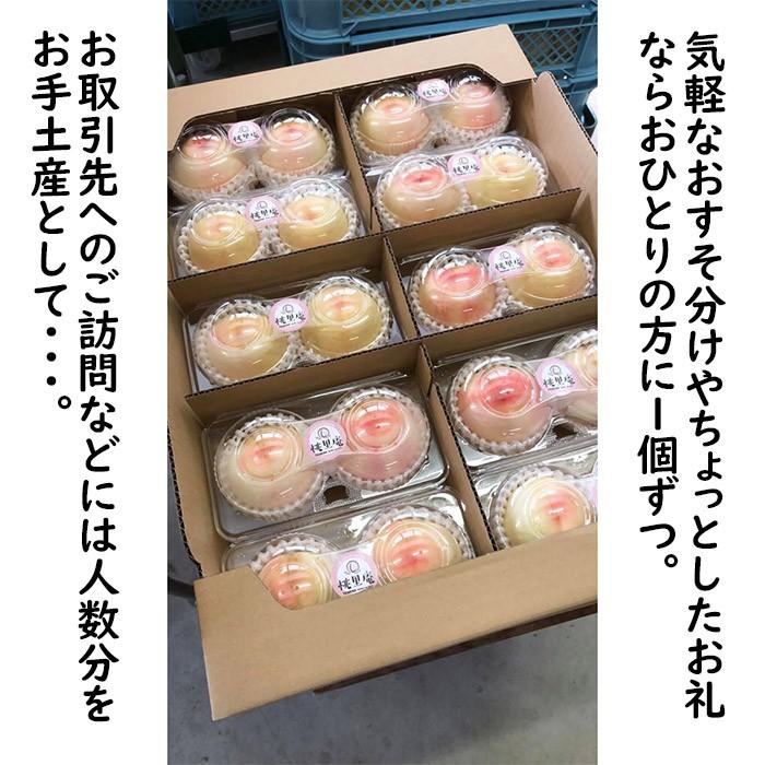 早期ご予約受付中 〇浅 岡山白桃 早生 おすそ分け10セット 2玉×10パック入箱 岡山県産白桃 生産者限定商品 6月下旬〜7月下旬収穫品_1