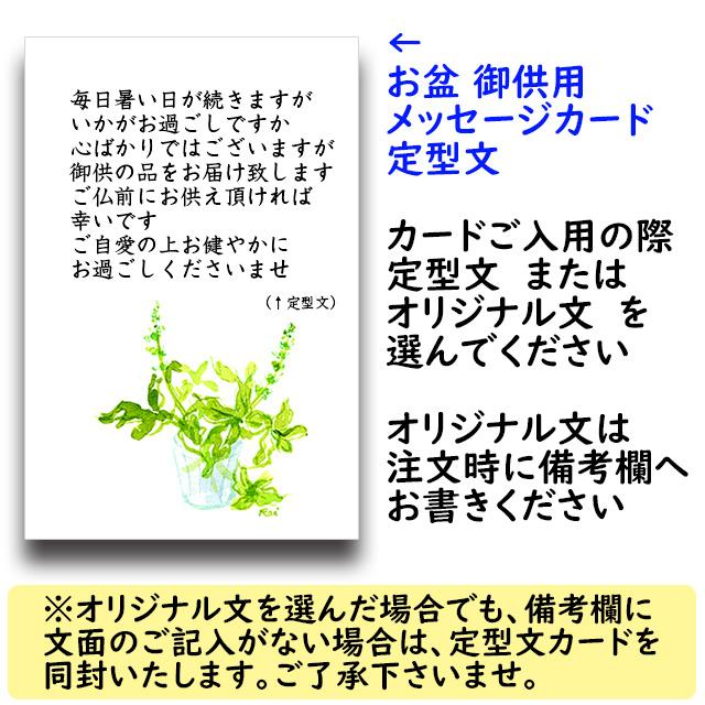 早期ご予約受付中 〇浅 岡山晩生白桃 自宅用 2kg箱 5〜8玉 生産者限定商品 訳あり品 7月下旬〜9月初旬収穫品_8