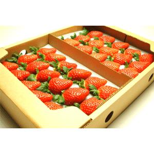 幻の女峰いちご 香川県産　女峰いちご　秀30または36個　最高級苺　送料無料