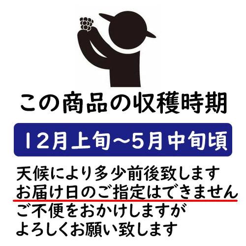 幻の女峰いちご 香川県産　女峰いちご　秀30または36個　最高級苺　送料無料