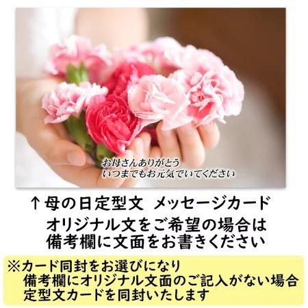 幻の女峰いちご 香川県産　女峰いちご　秀30または36個　最高級苺　送料無料